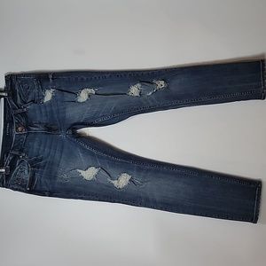 VIGOSS Jeans ~  The Thompson Tomboy Straight-leg Mid-rise Jeans
